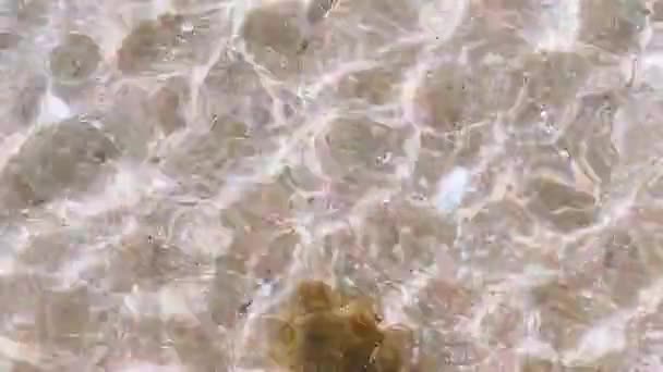 Sea Water Waves Sandy Beach Algae Clear Sea Water Shore — Vídeo de stock