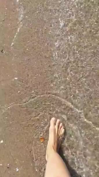 Woman Feet Walking Sea Water Waves Sandy Beach Female Summer — Vídeo de stock