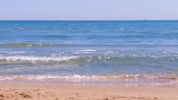 Sea Water Waves Sandy Beach — ストック動画