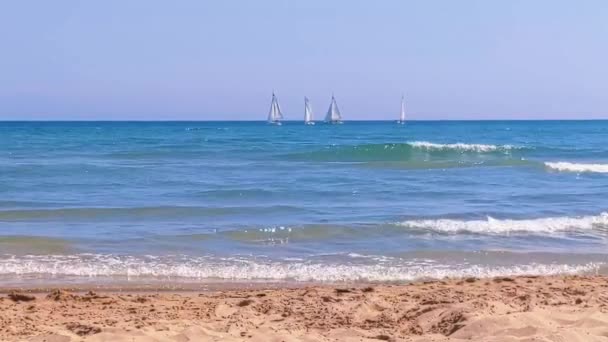Woman Feet Walking Sea Water Waves Sandy Beach Female Summer — Stockvideo