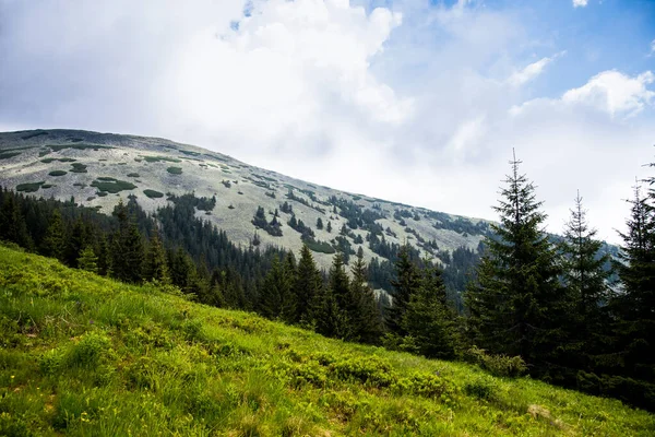 Picturesque Mountain Landscape Carpathians Autumn Mountain Landscape —  Fotos de Stock