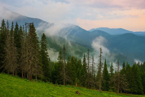 Picturesque Mountain Landscape Carpathian Mountains Summer Mountain Landscape Peaks Sunset — Stock Photo, Image