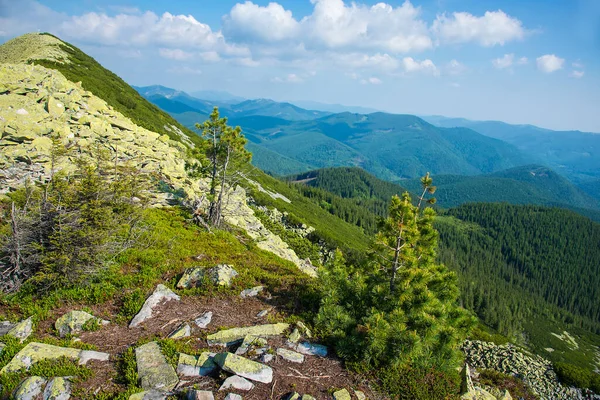 Colorful Natural Summer Landscape Carpathian Mountains Landscape Summer Mountains Wallpaper — Foto Stock