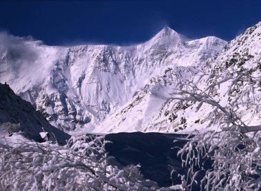 Winter morning in the mountains. Tree covered with snow, winter landscape