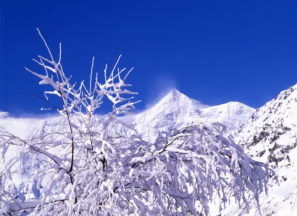 Winter Morning Mountains Tree Covered Snow Winter Landscape — Stock Photo, Image