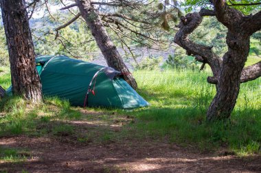 Tourist green tent on the background of forest in the foreground green grass. Camping and tent under the trees forest. Tourism concept. Man lives in the forest