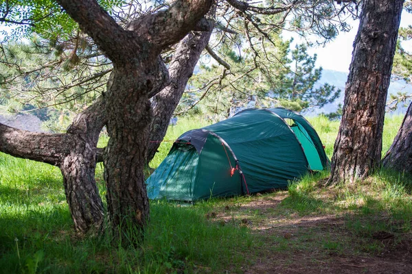 Tourist green tent on the background of forest in the foreground green grass. Camping and tent under the trees forest. Tourism concept. Man lives in the forest