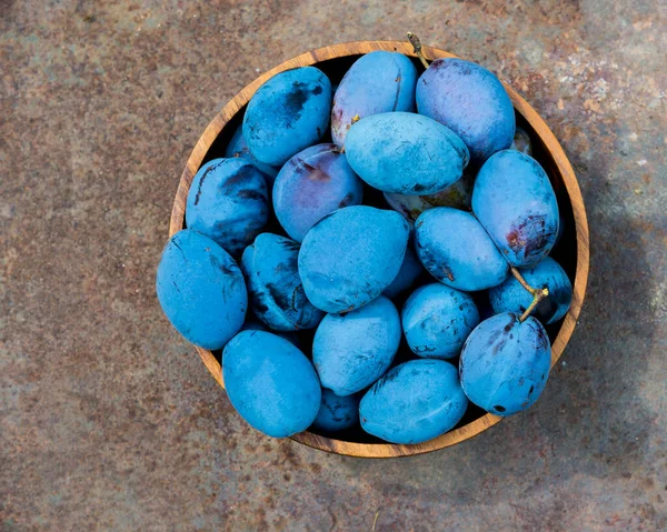 Purple fruits of a Stanley prune plum. Plum fruits variety Stanley. Ripe plums in a wooden bowl. Concept of home gardening and harvesting