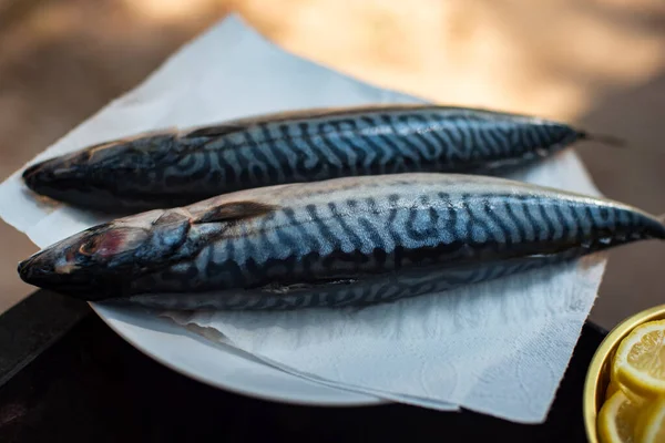 Mackerel fish on a wooden cutting board, top view. The process of cooking fish outdoors. Tasty and fresh food, picnic, party, outdoor recreation. Cooking on the nature