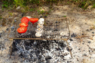 Şampiyon mantar ve domatesleri kullanarak lezzetli bir aperatif yapıyorlar. Şehrin dışındaki ızgarada sebze pişiriyorum.