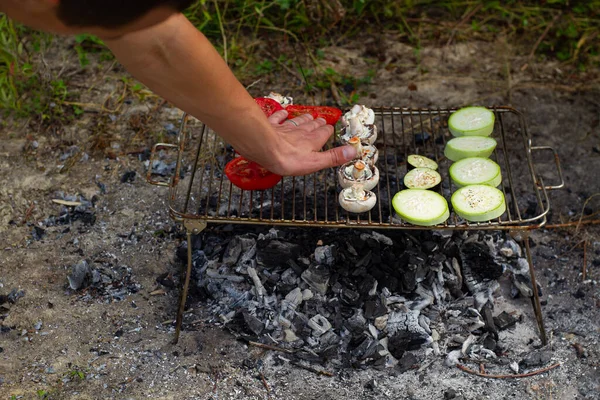 Hot organic healthy vegetables:sliced tomato, zucchini, champignon and eggplant being grilled on outdoor barbeque grill.Summer picnic and vegetarian food.Outdoor recreation.Food cooked over a campfire