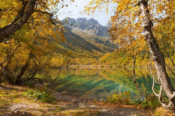 Güzel Sonbahar Manzarası Bir Dağ Gölünün Kıyısında Sarı Yapraklı Huş — Stok fotoğraf