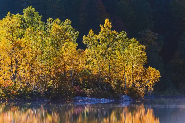 Красивый Осенний Пейзаж Березы Желтой Листвой Берегу Горного Озера — стоковое фото