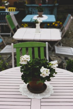 Masadaki tencerede bulunan beyaz sardunya çiçeklerinin enfeksiyonu, eski Lublin kasabası