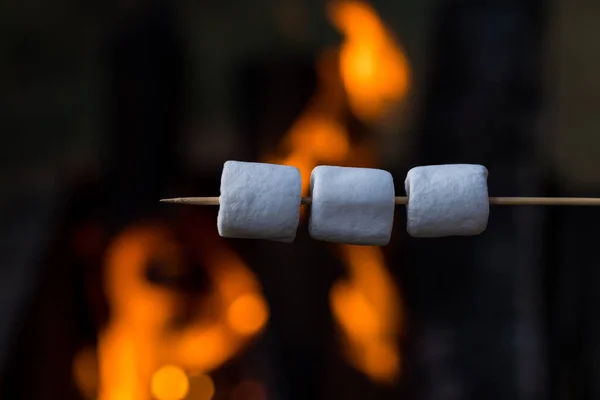 Marshmallow skewers. Marshmallows over campfire at night on a summer day, closeup. Summer picnic