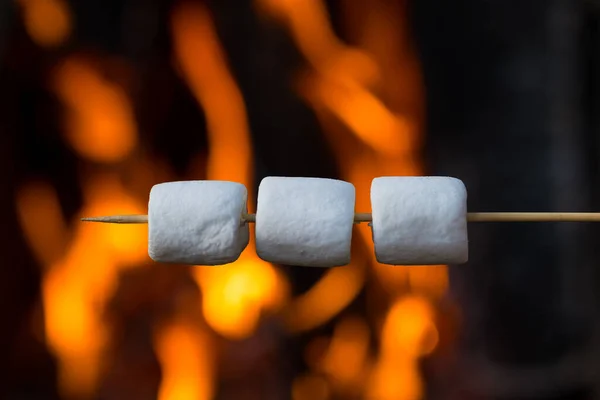 Eibisch Spieße Marshmallows Über Dem Lagerfeuer Der Nacht Einem Sommertag — Stockfoto