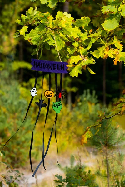 Decoración Festiva Halloween Con Símbolos Preparación Para Las Vacaciones Bosque — Foto de Stock