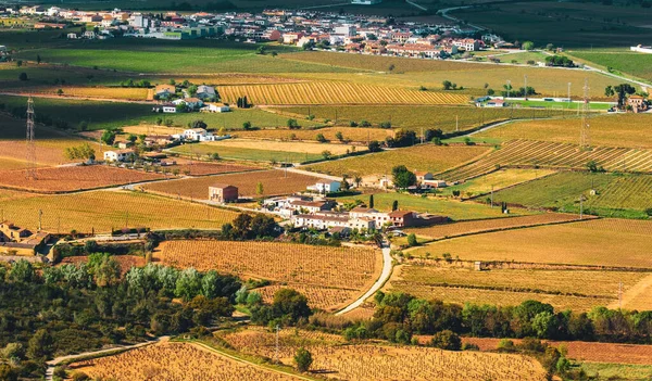 Vilafranca del Penedes, Katalunya, İspanya yakınlarındaki yaz üzüm bağları ile manzara