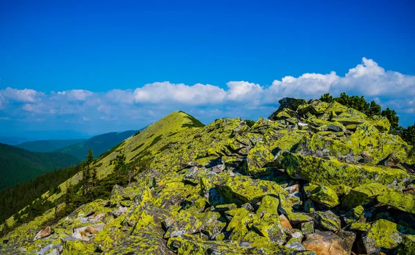 Parque Nacional Los Cárpatos Región Ivano Frankovsk Ucrania —  Fotos de Stock