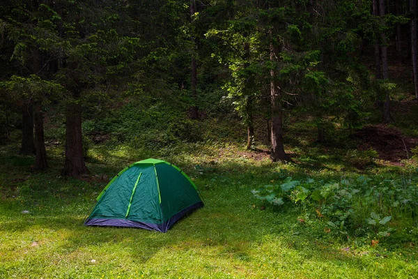 Туристическая Зеленая Палатка Фоне Леса Переднем Плане Зеленая Трава Кемпинг — стоковое фото