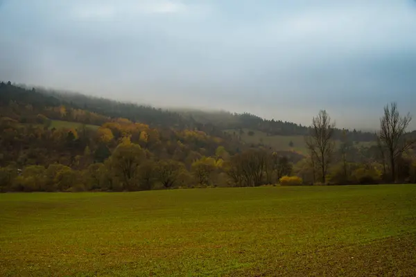 Gyllene Höst Skogarna Slovakien — Stockfoto