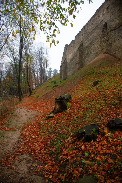 Ερείπια Του Μεσαιωνικού Κάστρου Zborov Σλοβακία — Φωτογραφία Αρχείου