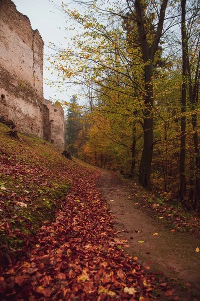 中世ズボロフ マコヴィツァ 城の遺跡東スロバキア ヨーロッパ 霧の秋 — ストック写真