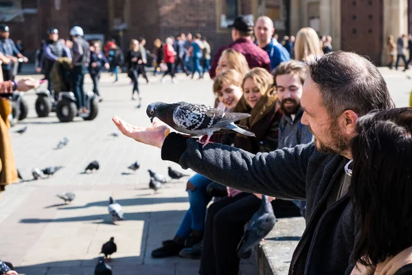 クラクフ ポーランド ポーランド 2019年3月24日 旧市街の広場にいる人々は 鳩を手から休んで餌を与えます — ストック写真