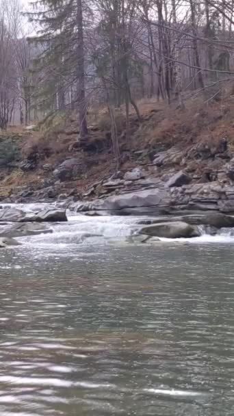 Schöne Aussicht Auf Fließendes Flusswasser Den Bergen — Stockvideo