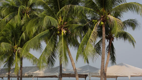 Beach Thailand — Stock Photo, Image