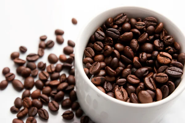 Coffee beans and Coffe Cup — Stock Photo, Image