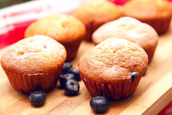 Blåbärsmuffins — Stockfoto