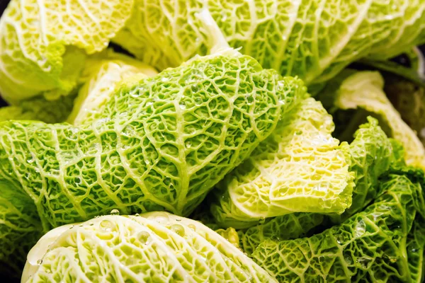 Savoy cabbage leaves — Stock Photo, Image