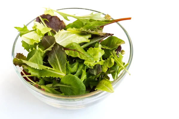 Salad in a glass bowl — Stock Photo, Image