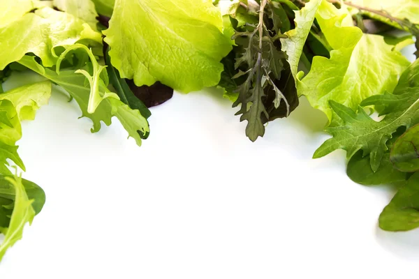 Salad mix — Stock Photo, Image