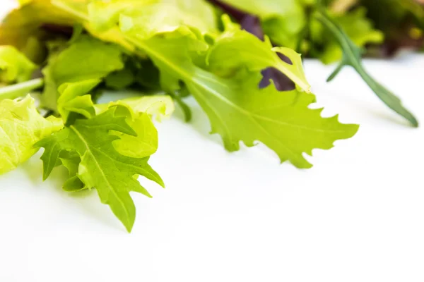 Salad mix — Stock Photo, Image