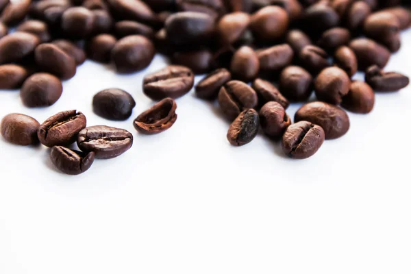 Coffee seeds — Stock Photo, Image