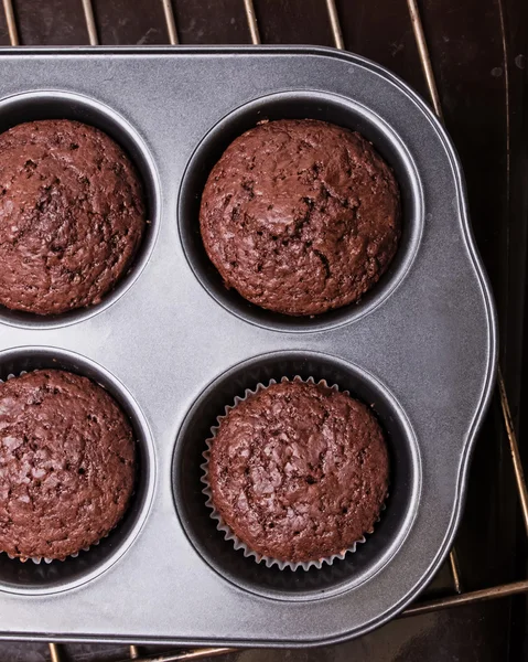 Muffins de chocolate close-up — Fotografia de Stock