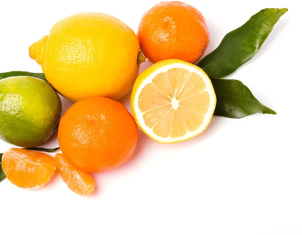 Citrus isolated on white background — Stock Photo, Image