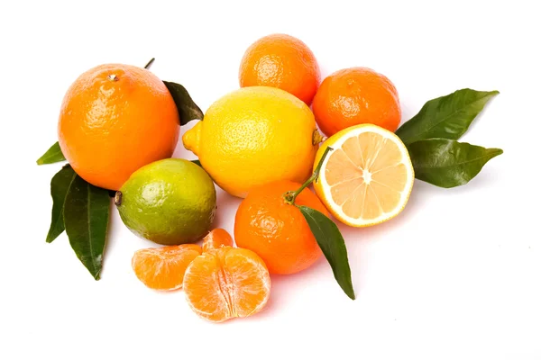 Citrus isolerad på vit bakgrund — Stockfoto