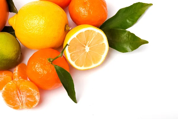 Citrus isolerad på vit bakgrund — Stockfoto