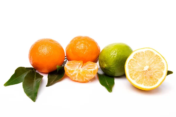 Citrus isolated on white background — Stock Photo, Image