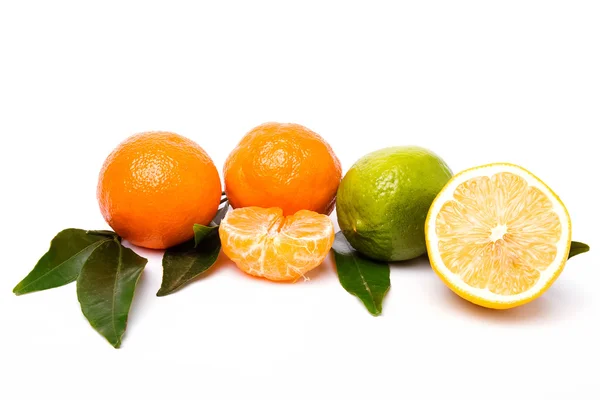 Citrus isolerad på vit bakgrund — Stockfoto