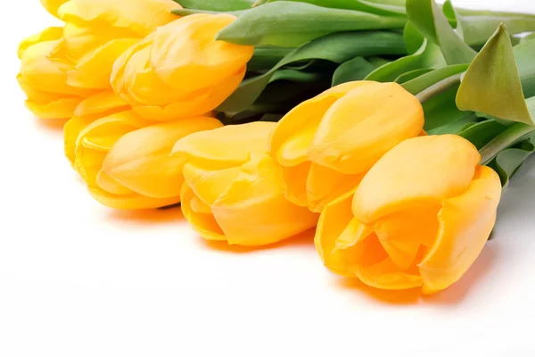 Gelbe Tulpen — Stockfoto