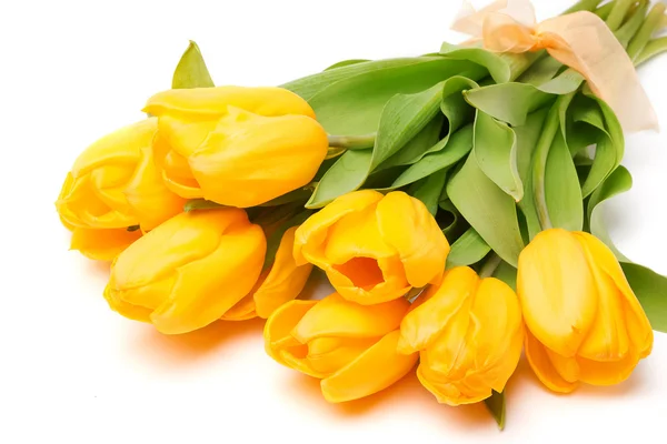 Gele tulpen — Stockfoto