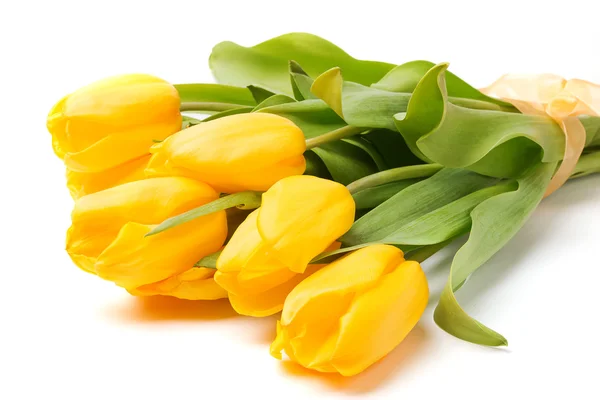 Yellow tulips — Stock Photo, Image