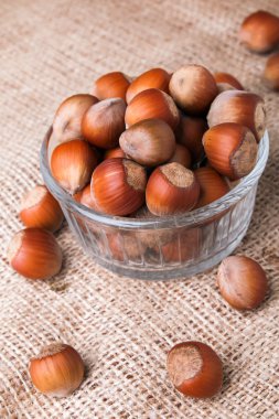 fındık yakın çekim