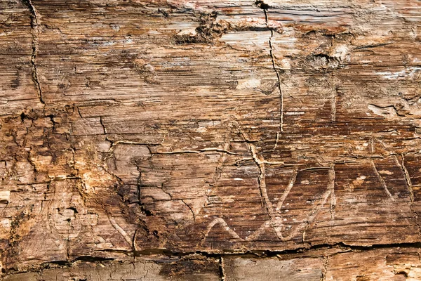 Old dirty wooden texture — Stock Photo, Image