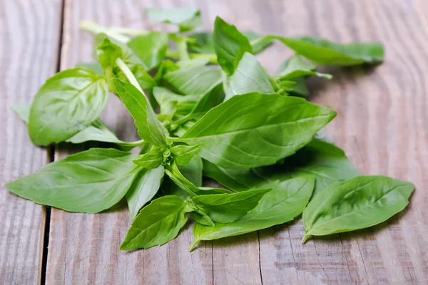 Fresh basil — Stock Photo, Image