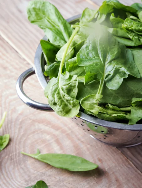 Fresh spinach and sorrel — Stock Photo, Image